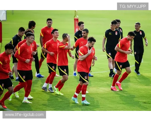 中国香港足球队全体球员身价分析及其影响因素探讨